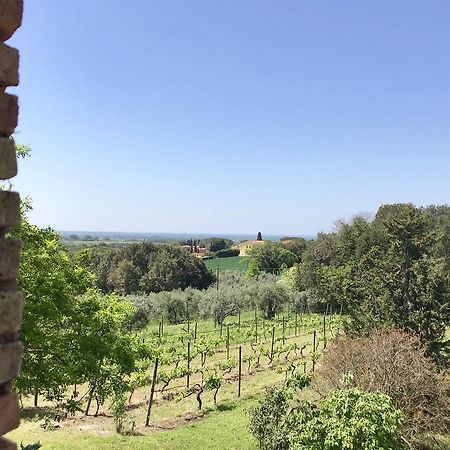 Agriturismo La Leccia Villa Bibbona Exterior foto