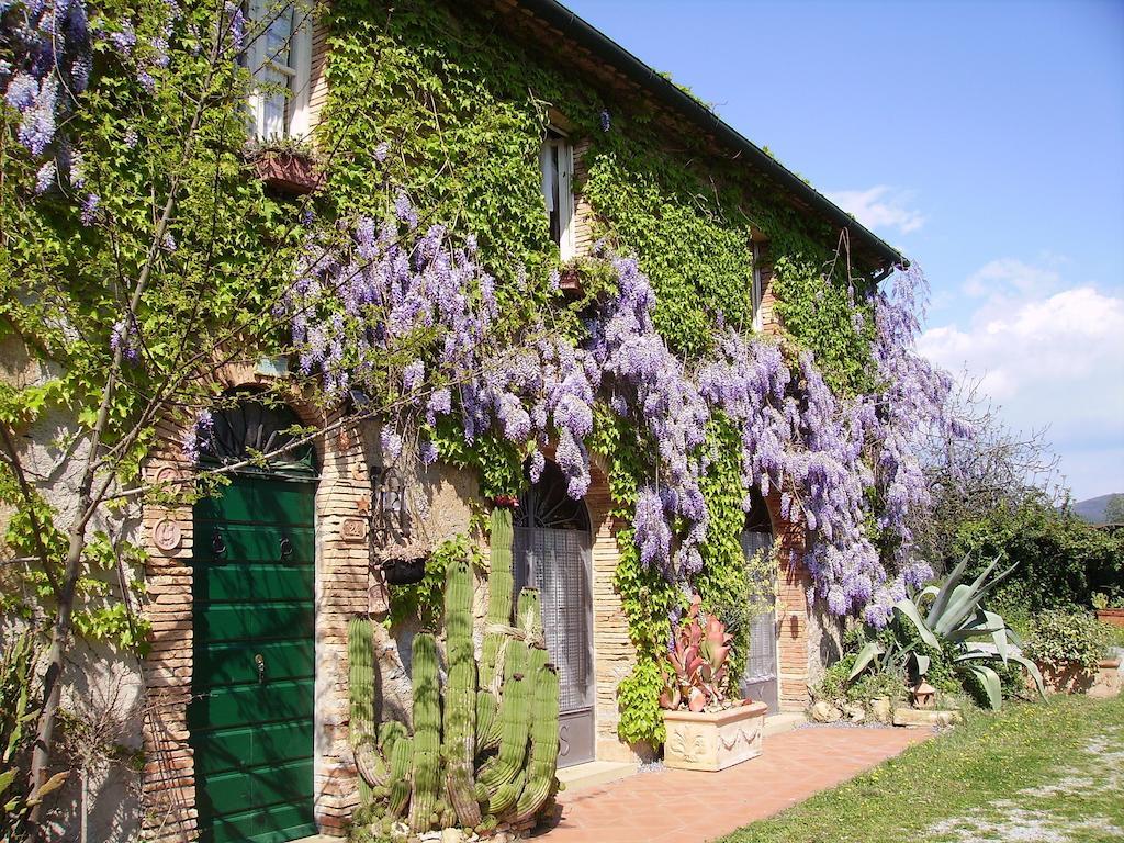 Agriturismo La Leccia Villa Bibbona Exterior foto