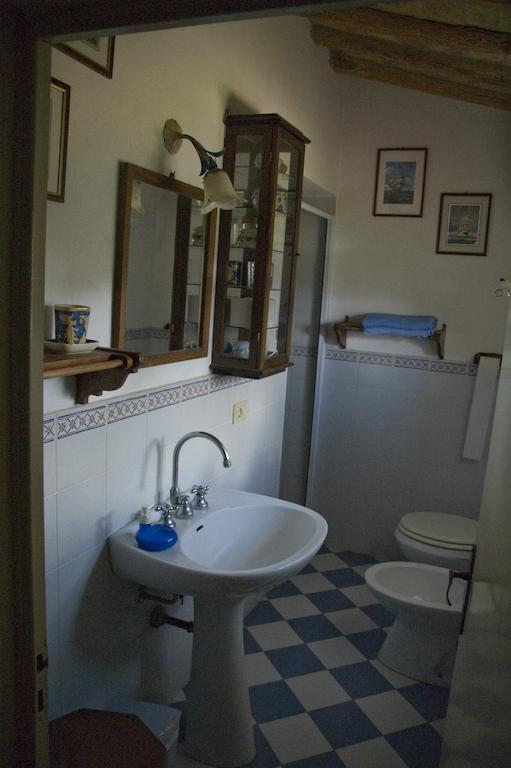 Agriturismo La Leccia Villa Bibbona Exterior foto