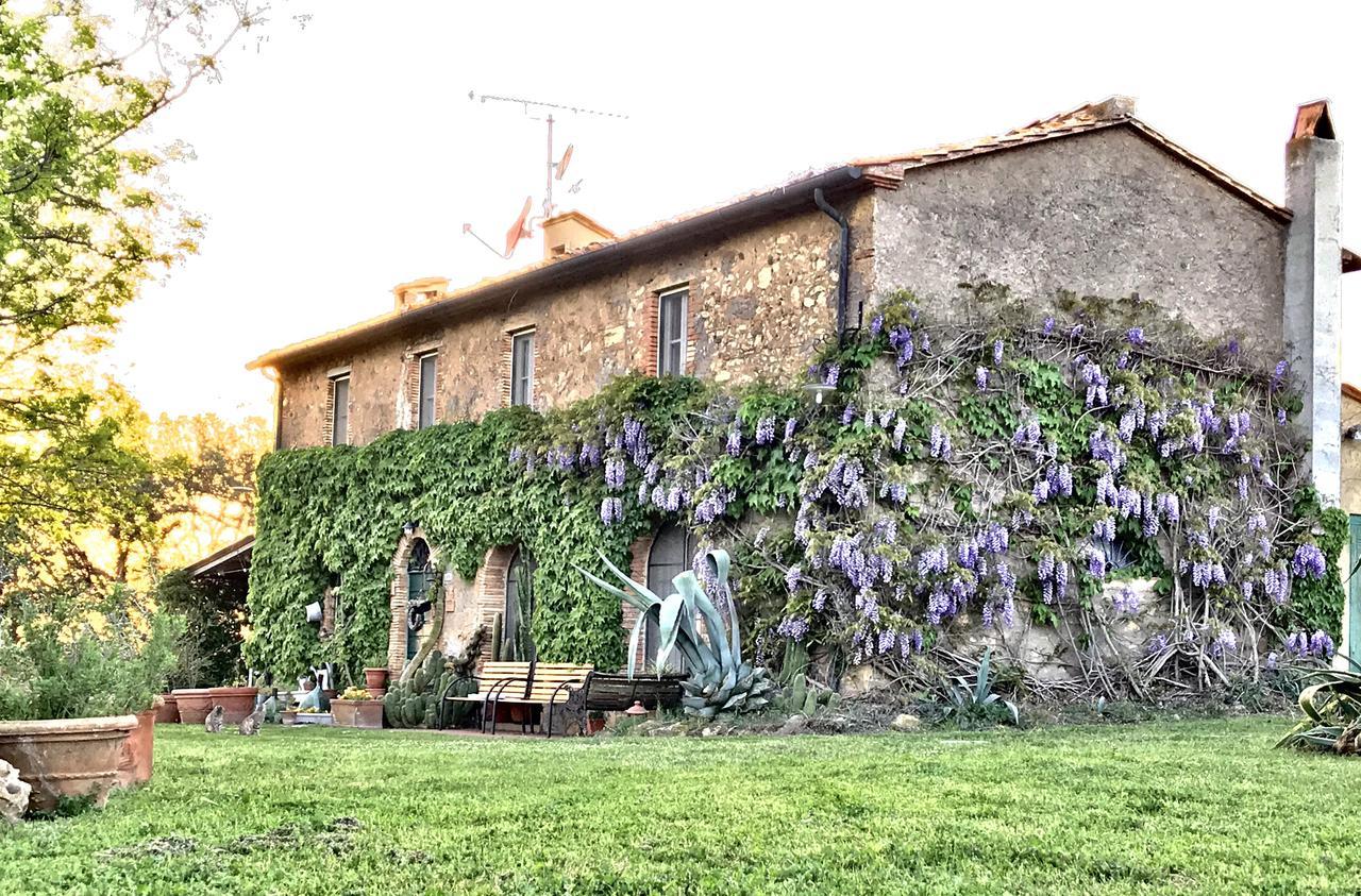 Agriturismo La Leccia Villa Bibbona Exterior foto
